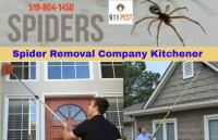 Pest Control Kitchener image 6